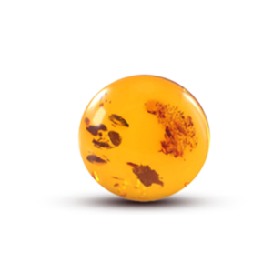 Amber is a warm golden organic gemstone formed from fossilized tree resin millions of years ago. Known for its calming energy and protective qualities, Amber is believed to promote emotional healing, positivity, mental clarity, and spiritual balance.